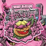 Haupia Cherry Blossom