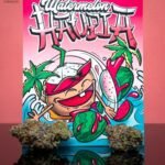 Haupia Watermelon
